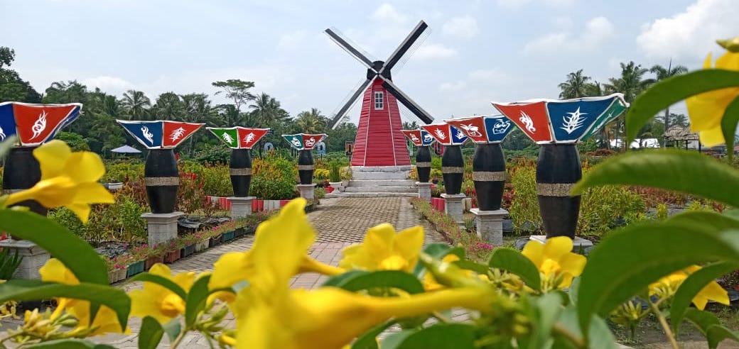Negeri Belanda: Taman Ramandanu menyajikan view Bunga Celosia dan kincir angin bak negeri Belanda. (Foto: Amelia Yuniar)