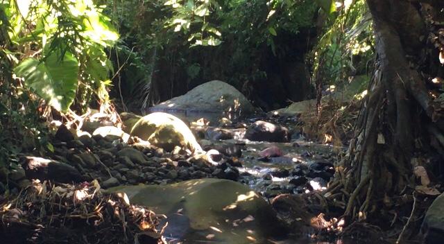 LEMBAB: Penampakan Kali Kunjang di Sawangan yang menjadi tempat berdiam Wewe Gombel dan Kuntilanak. (Foto: Wahid Fahrur Annas)