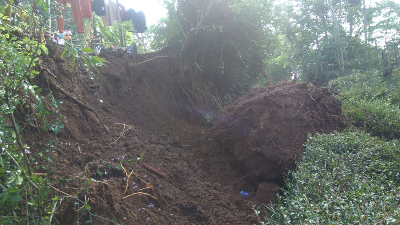 LONGSOR: Sebuah tebing dekat rumah warga longsor akibat hujan cukup deras yang mengguyur Kecamatan Tempuran. (Foto: han)