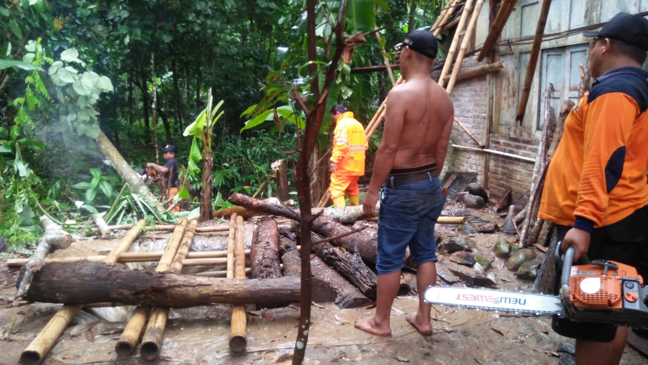 TEBANG: Warga dan relawan bencana saat melakukan penanganan pohon tumbang di Kecamatan Borobudur, Minggu (26/1). (Foto: han)