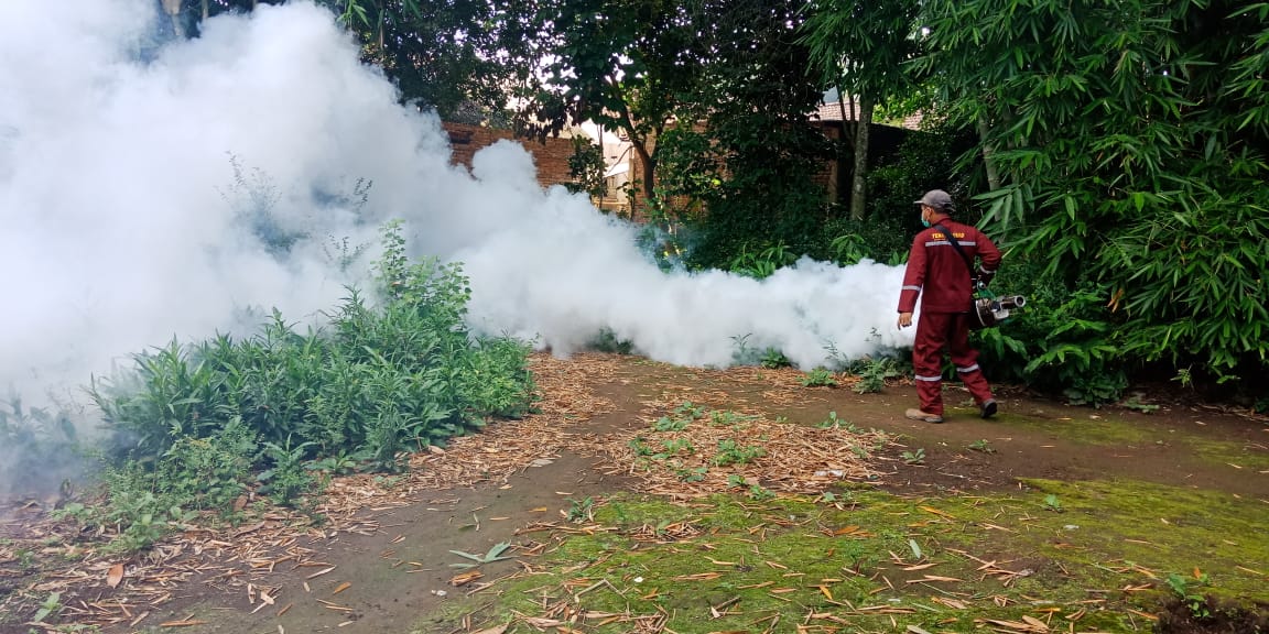 SEMPROT: Selain di dalam rumah, petugas melakukan fogging hingga kebun yang diduga menjadi sarang nyamuk Aedes Aigypti di Dusun Brangsen, Desa Krincing, Kecamatan Secang. (Dok: Borobudur News)