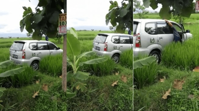 HOROR: Viral video mobil masuk tengah sawah di Madiun tanpa bekas jejak ban (Foto: Istimewa)
