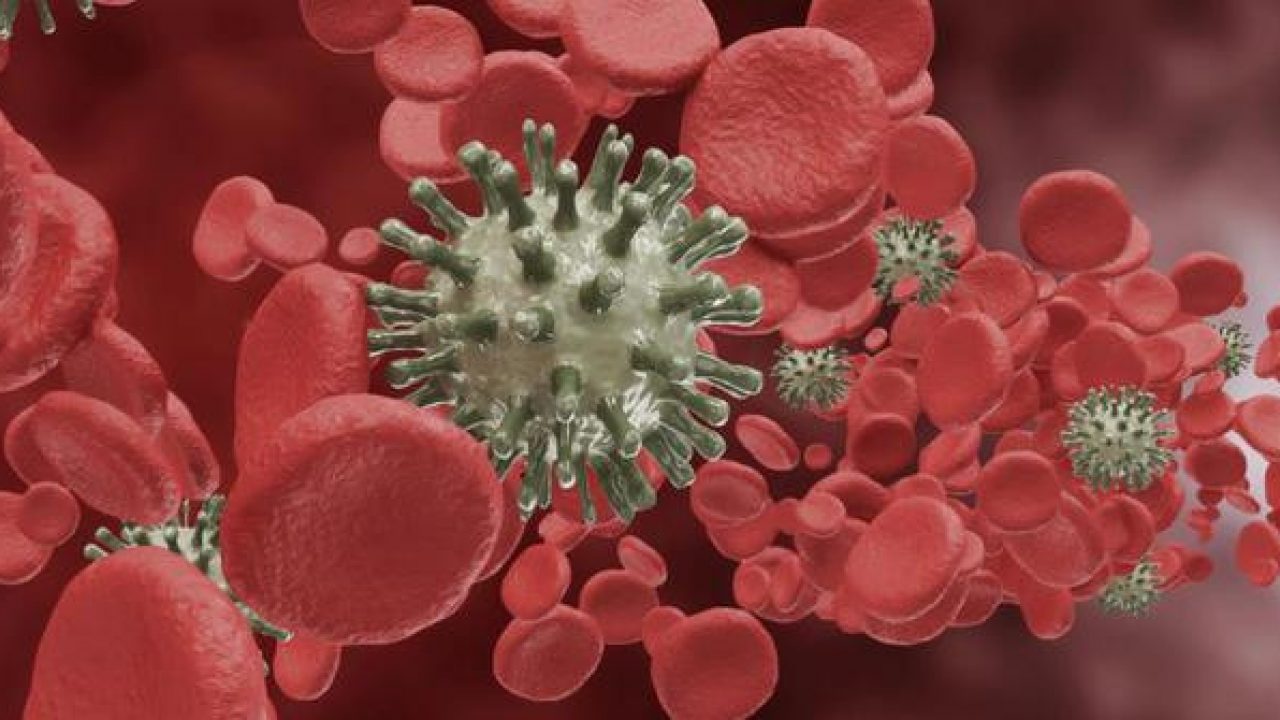 ILUSTRASI : Gambaran sebuah penyakit yang mematikan jutaan jiwa (Foto: Istimewa)