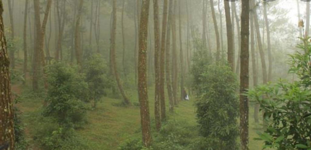 NEWS; Misteri di Gunung Andong yang meninggalkan kisah para pendaki (Foto: Istimewa)