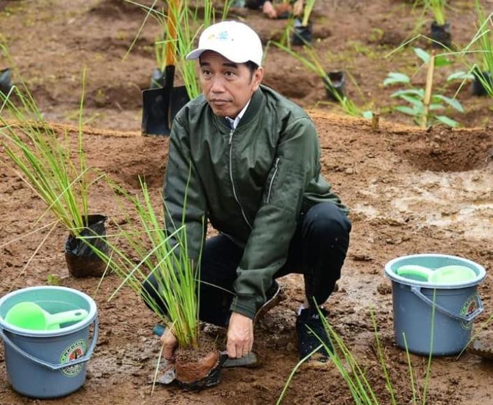 ILUSTRASI : Presiden Jokowi akan kunjungi lereng merapi di wilayah Kecamatan Srumbung Kabupaten Magelang (Foto: Dok Pribadi))