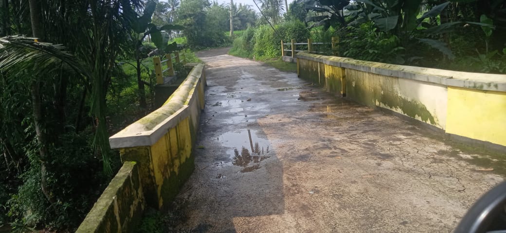 MISTIS: Jembatan kali Mandungan penghubung Dusun Ngebong Lor-Ngentak yang terkenal horor (Foto: Tora)