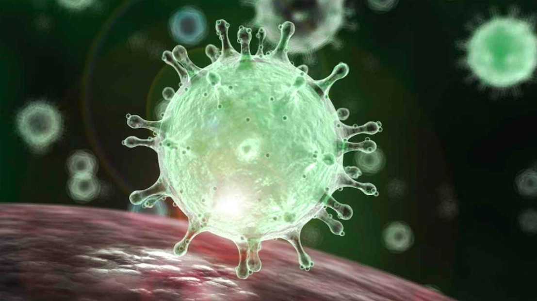 Bentuk Virus Corona di Mikroskop yang berbentuk berduri dan menyerupai SARS. (Ilustrasi: Internet)