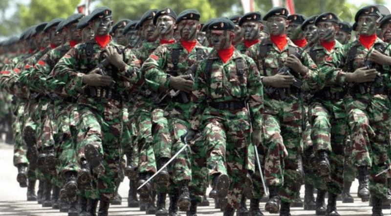Dibuka Rekrutmen 17 Ribu Anggota TNI, Ini Syaratnya