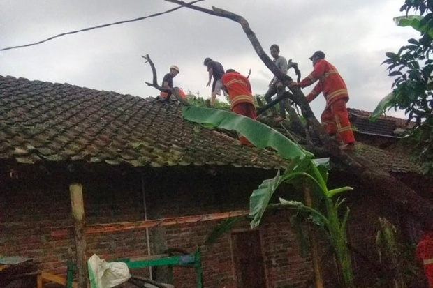 EVAKUASI: Petugas mengevakuasi pohon yang menimpa rumah di Tegalrejo. (Foto: Istimewa)