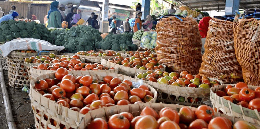 ILUSTRASI : Harga sayuran turun akibat wabah virus corona (26/3/2020)-(Foto: Istimewa)