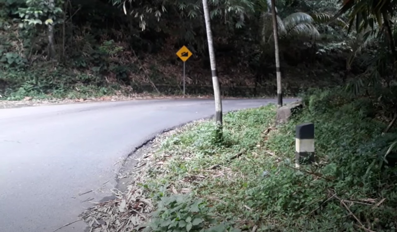 ANGKER: Di kawasan Clepan Surojoyo Kecamatan Candimulyo Kabupaten Magelang dikenal warga setempat cukup angker. (Foto: SC video)