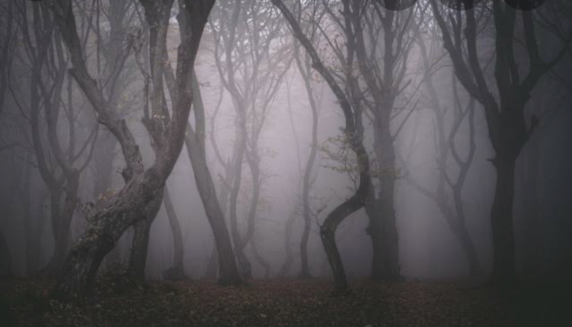Warga Jogja Dikagetkan Suara Mirip Kuntilanak, Ternyata….