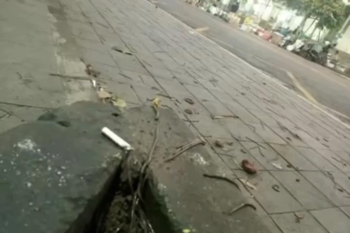 Fenomena Ribuan Cacing Keluar dari Tanah, Nitizen : Gara Gara Disinfektan