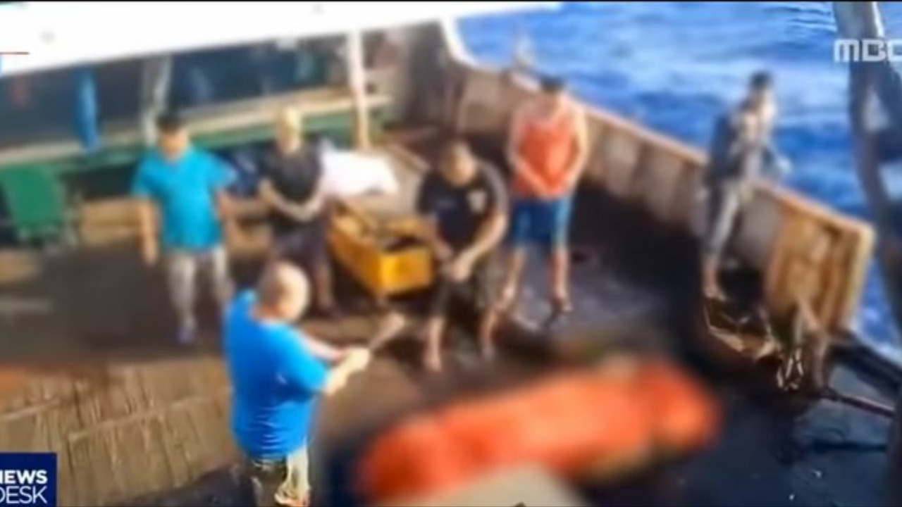 SS Video Larung ABK Indonesia di laut Korea viral