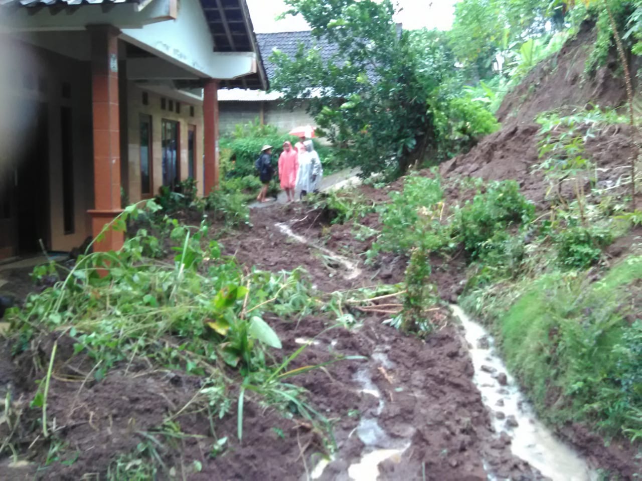 NEWS: Tebing longsor timpa rumah bagian depan milik warga di Salaman (11/5/2020)-(Foto-Istimewa)
