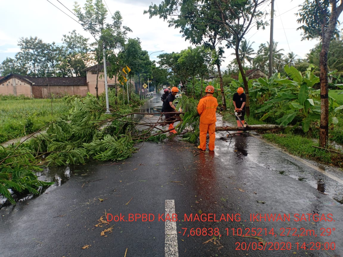 NEWS: Pohon tumbang tutup jalan provinsi di Muntilan (20/5/2020)-(Foto: BPBD Kabupaten Magelang)
