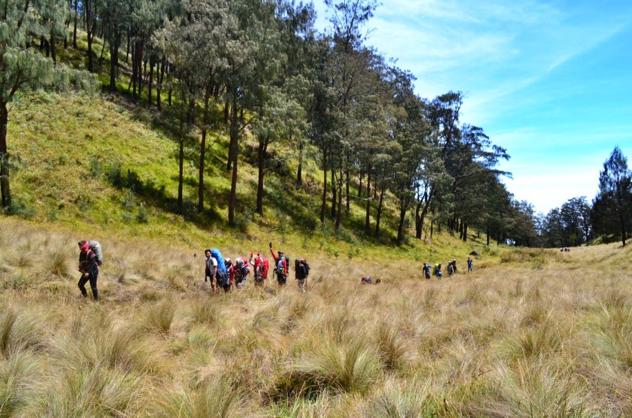 Jalur pendakian Gunung Lawu via Cemoro Sewu