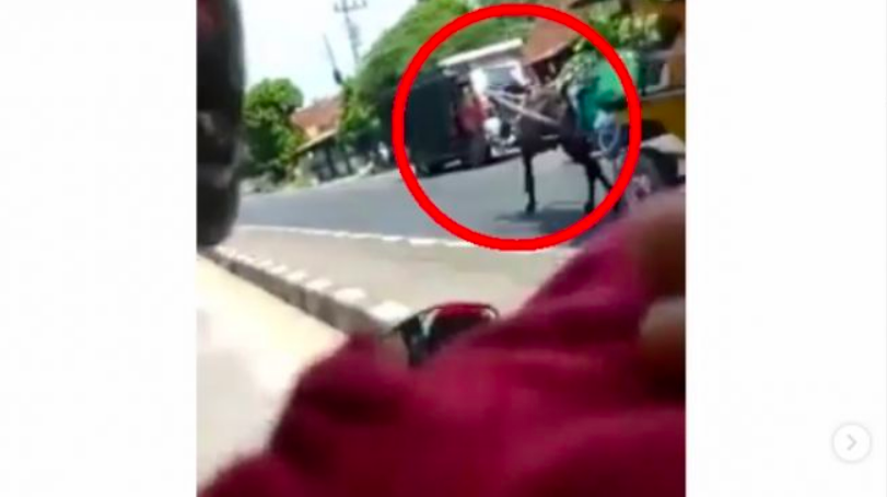 BERBAHAYA: Detik-detik dokar berpenumpang melawan arus nyaris menabrak kendaraan di depannya. (Sumber: tangkapan layar instagrm @pemalang.update)