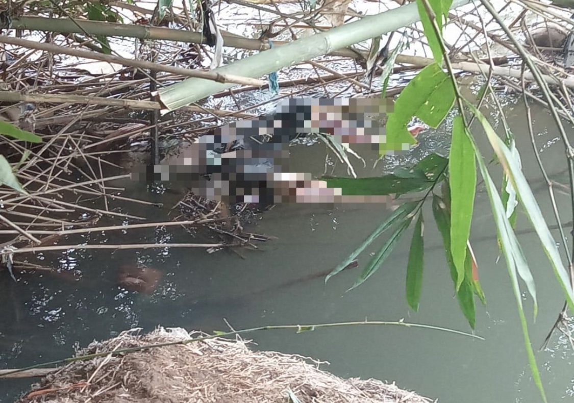 BREAKING NEWS : Penemuan Mayat di Kali Progo Borobudur