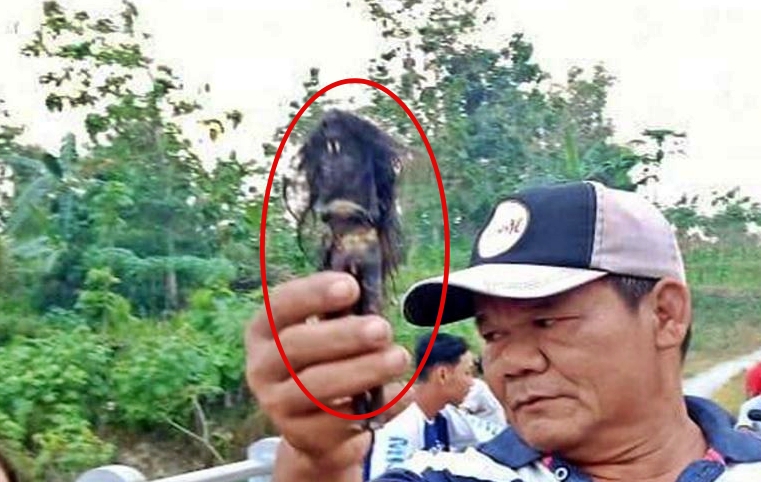 Benda misterius mirip jenglot gegerkan warga (2/7/2020)-(Foto: JIBI)