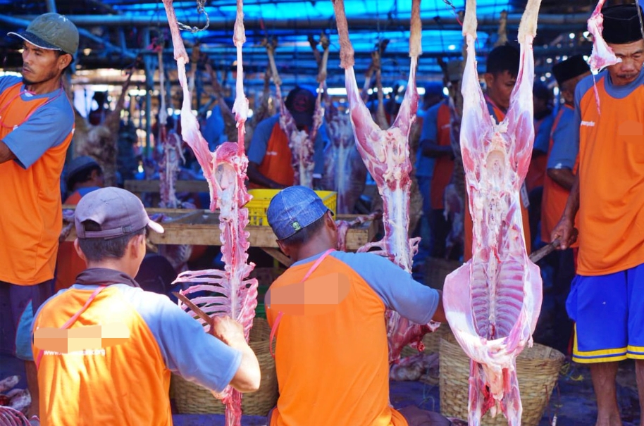 Ilustrasi pemotongan hewan qurban saat idul adha
