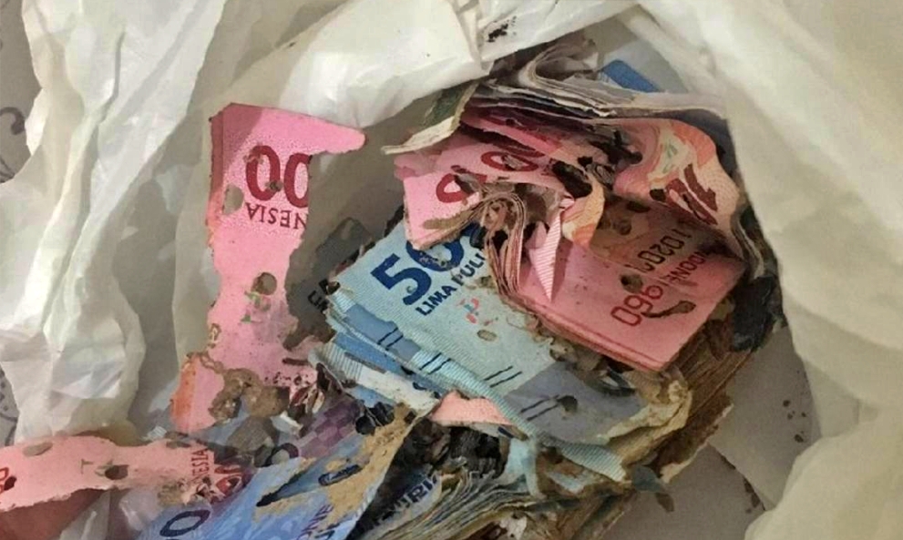 Ilustrasi uang kakek rusak dimakan rayap