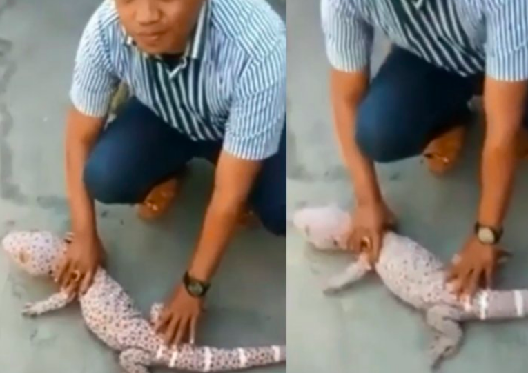 Gambar tangkapan layar video instagram @smart.gram.