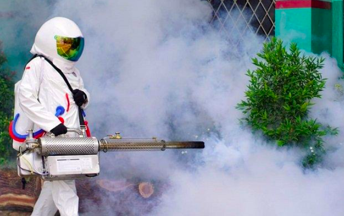 Puncak Ancaman Demam Berdarah Terjadi Oktober, Warga Diminta Waspada
