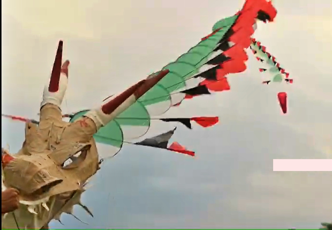 Layang Layang Naga saat diterbangkan