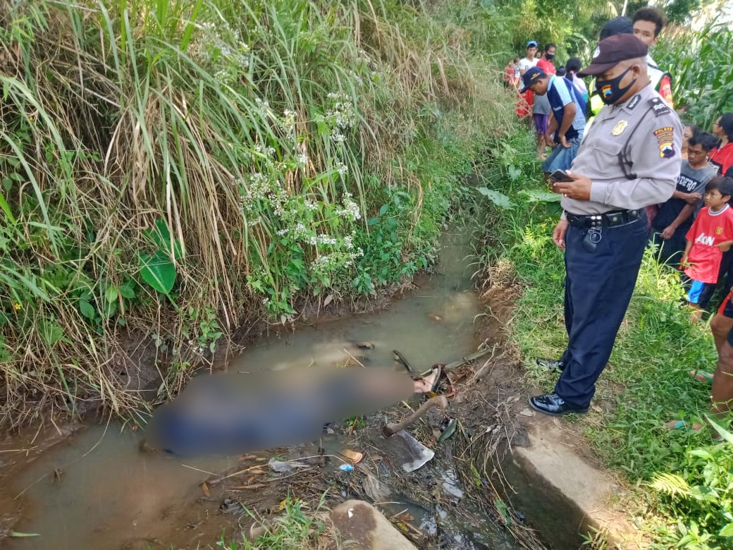 Mayat laki laki tertelungkup di saluran irigasi di Secang (5/7/2020)-(Foto: Istimewa)