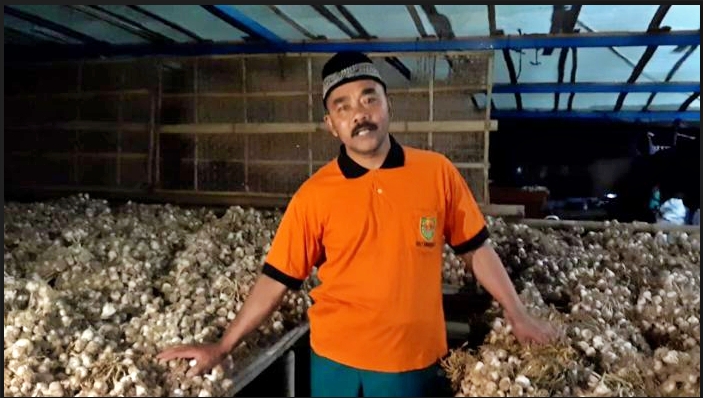 Petani bawang putih di lereng merbabu Magelang (19/7/2020)-(Foto: Istimewa)