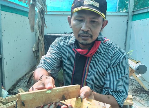 Atasi Sampah, Desa Di Klaten Budidaya Lalat Tentara Hitam