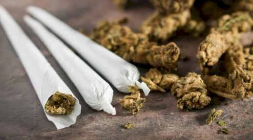 ILUSTRASI : Jajaran Polres Sleman membongkar peredaran ganja dan psikotropika di Sleman