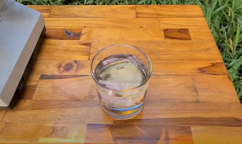 Penelitian Pada Lembaran Uang Kertas, Banyak Kehidupan Yang Ditemukan