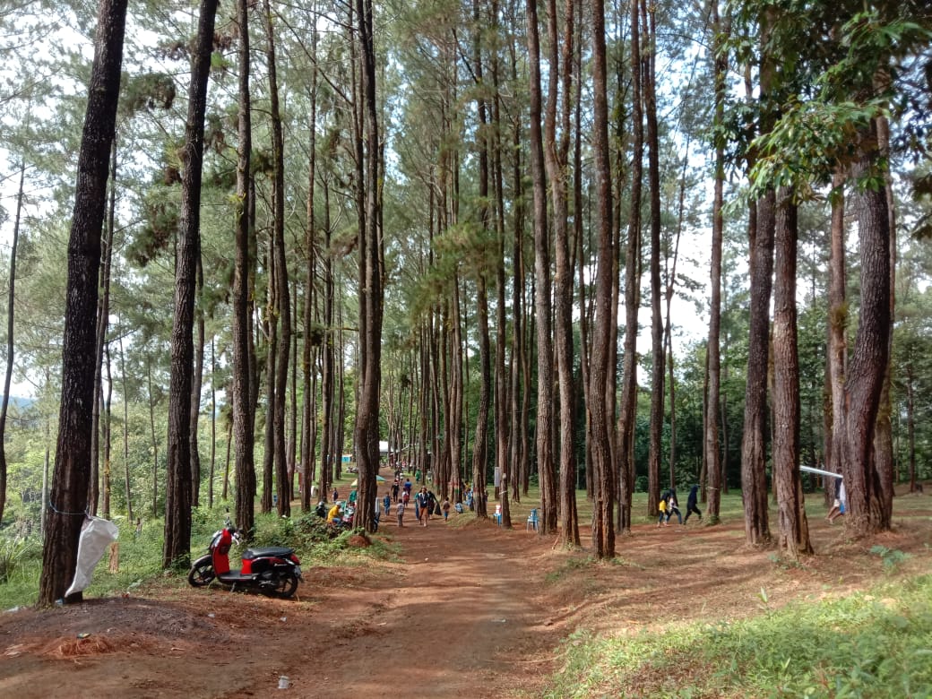 Wana Wisata Nirwana Lokajaya Salaman (16/8/2020)-(Foto: Rur)