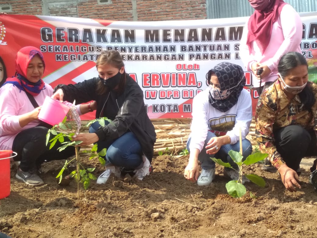 Anggota DPR RI Vita Ervina (jaket hitam) menanam bibit pohon produktif, Jumat (7/8). (Foto: istimewa)