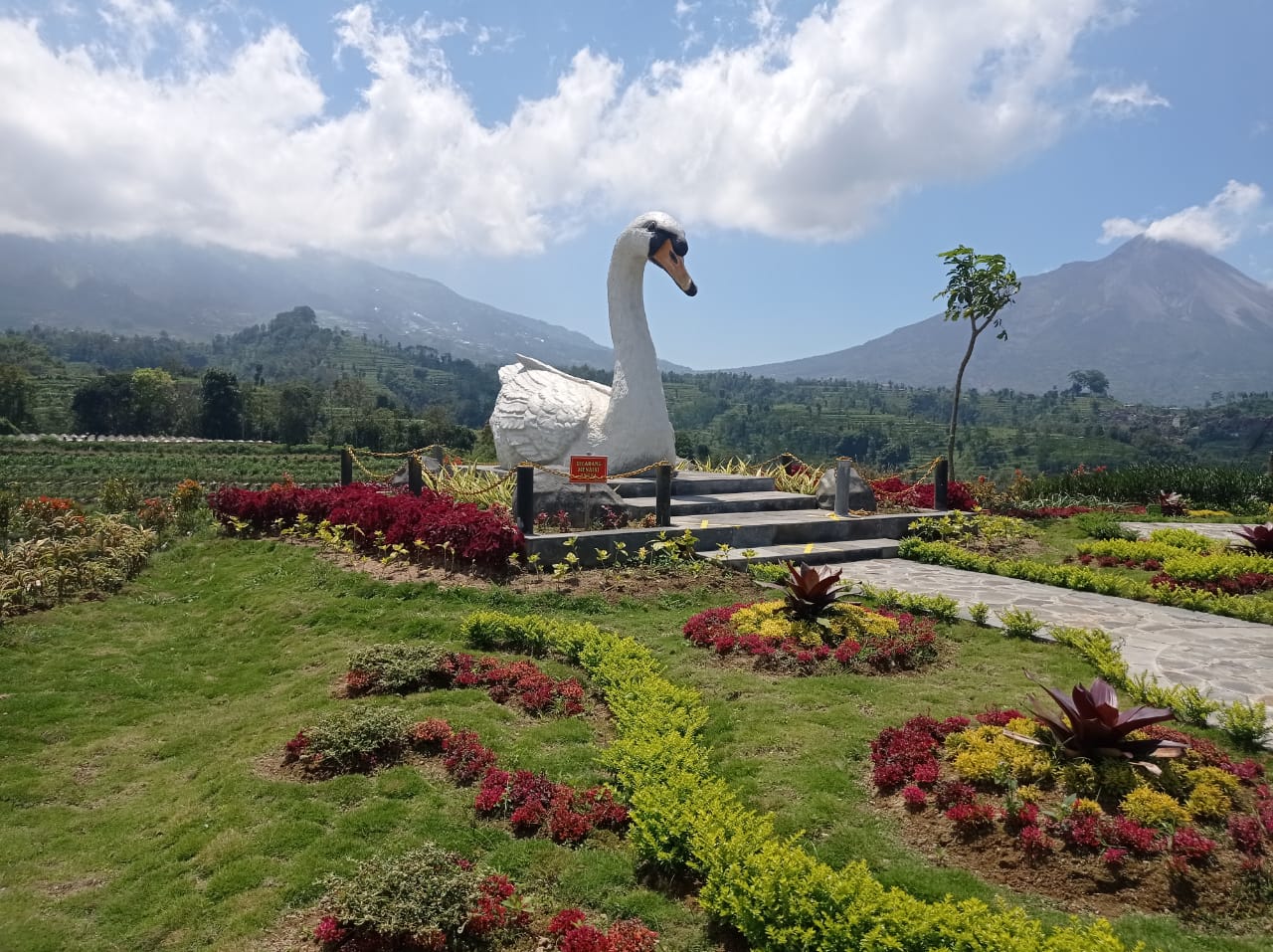 Icon Angsa Angkrem di Wisata Gunung Gupak Sawangan Magelang (Foto: bsn)