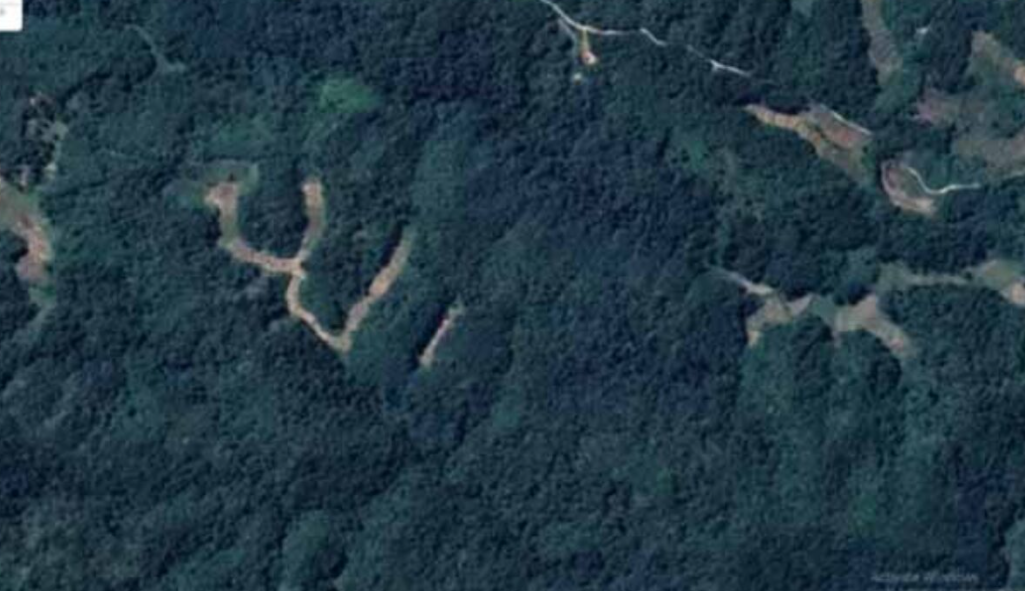 Viral Google Maps Rekam Kawasan Mirip Lafaz Allah