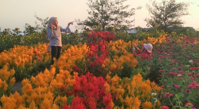 Beroperasi Kembali, Wisata Taman Bunga Pagoda Terapkan Protokol Kesehatan