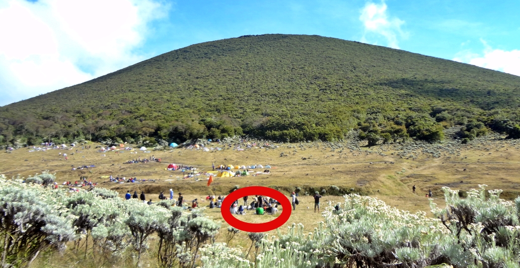 Lokasi alun alun surya kencana gunung gede pangrango yang viral