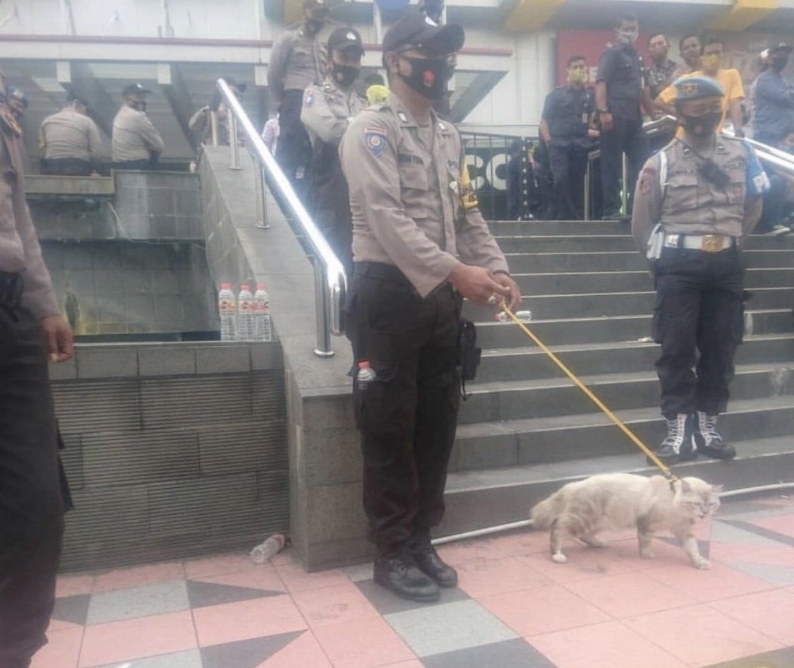 Viral…Polisi Ini Bawa Kucing Pelacak Saat Amankan Demo di Magelang