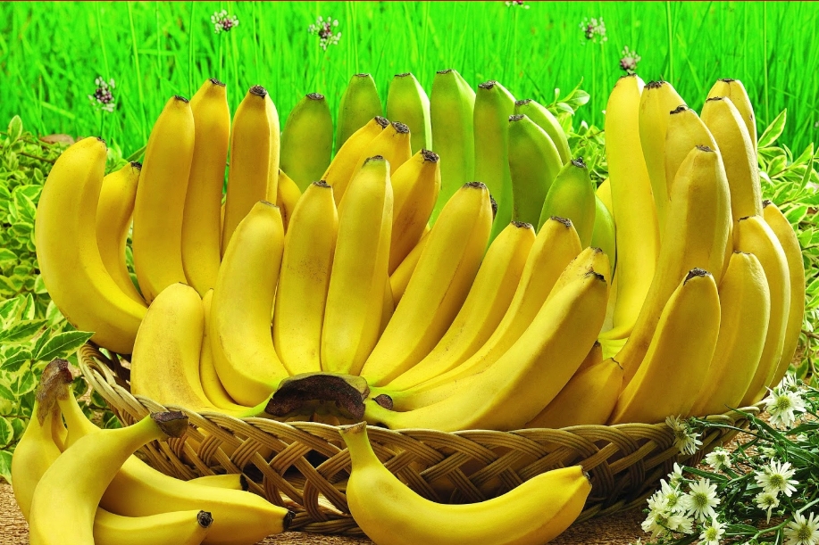 konsumsi buah pisang sembuhkan diare
