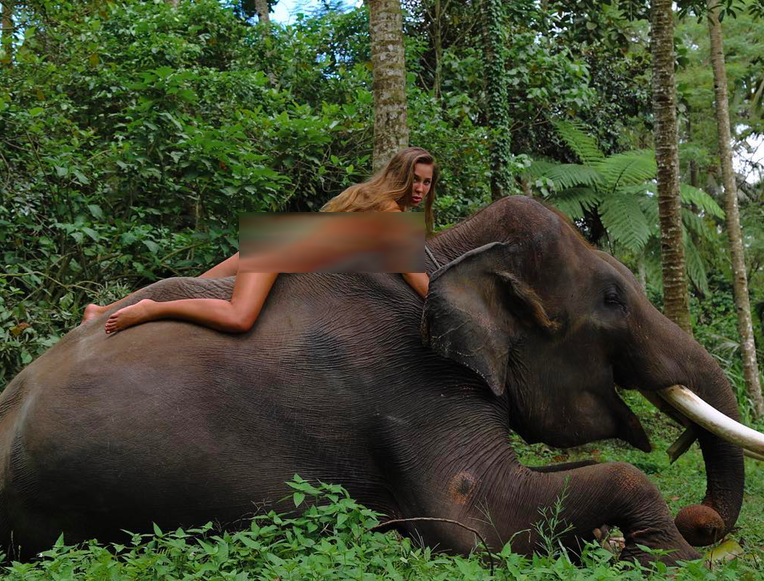 KONTROVERSI: Turis sekaligus model majalah dewasa asal Kadana, Jessica Rast saat menunggang gajah di Bali tanpa busana. (Sumber: instagram jessicarast)