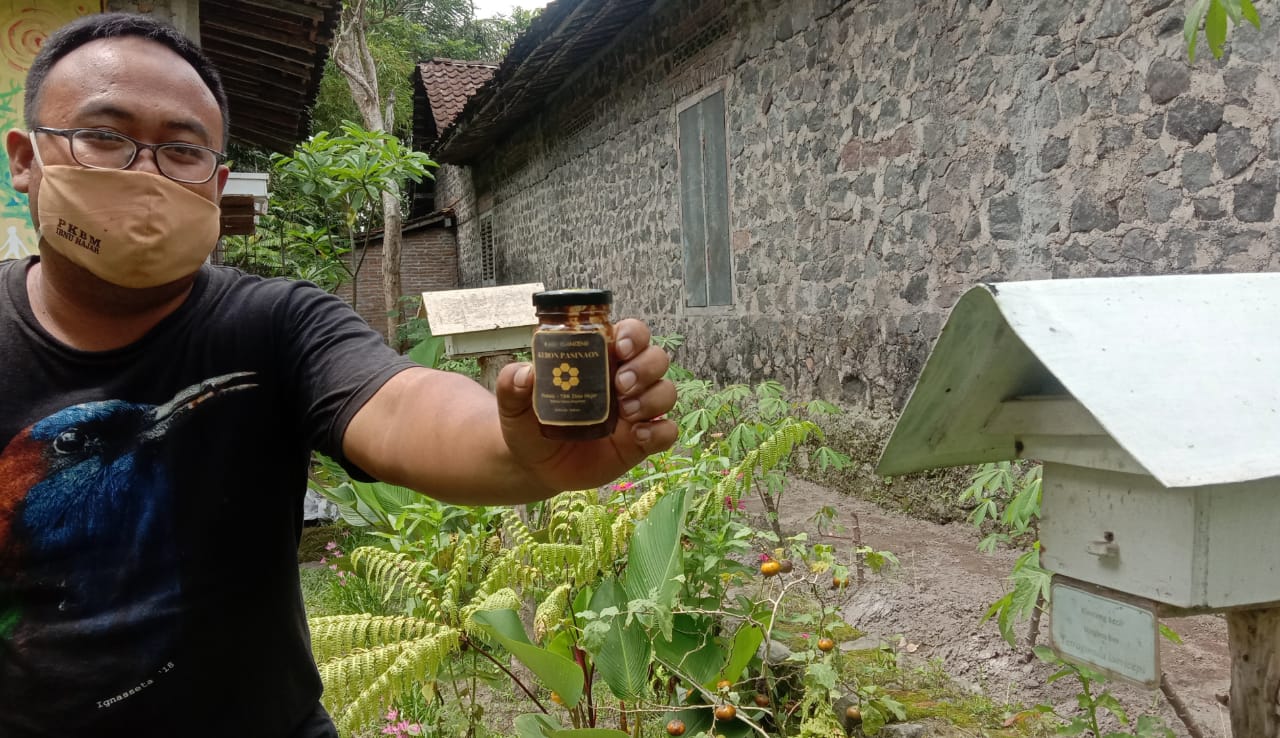 Budidaya Lebah Klanceng Di Salam Magelang