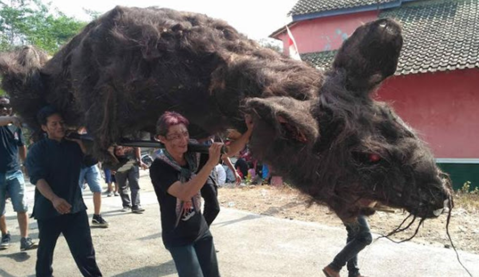 ORUP: Tikus yang hidupnya rakus menjadi simbol kuruptor. (Foto: internet)