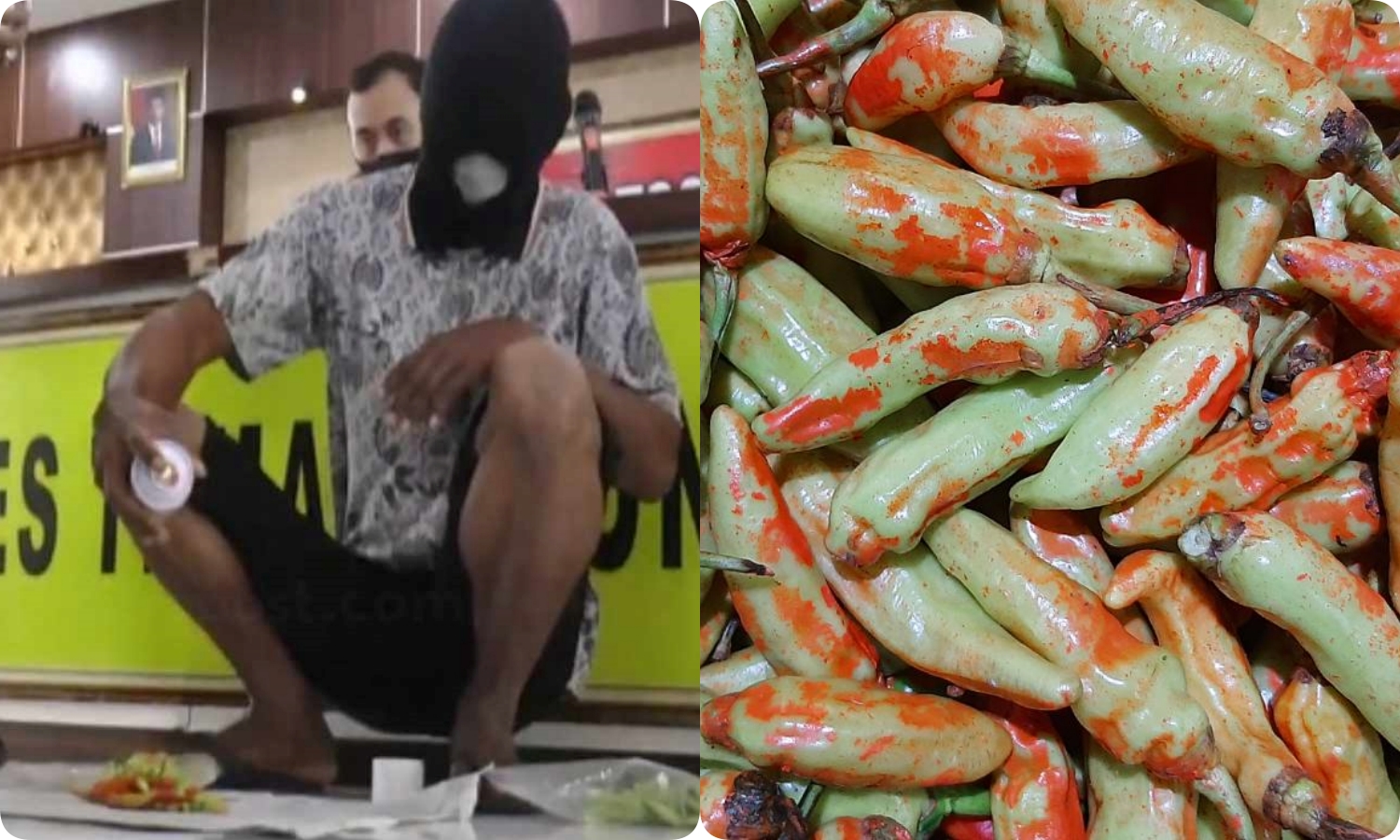 Kasus pengecatan cabai menjadi merah di Temanggung