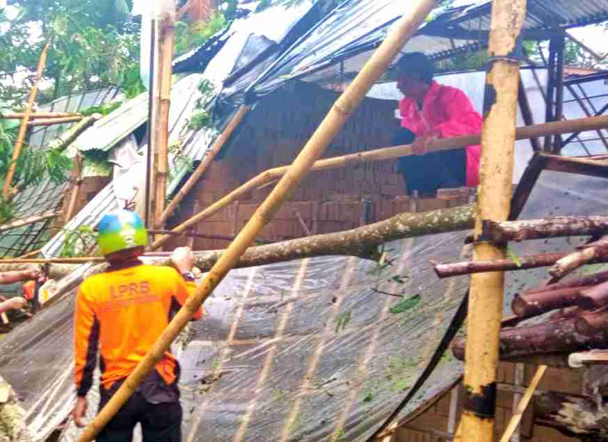 Petugas BPBD Kabupaten Magelang saat mengkondisikan adahan pohon yang patah akibat angn kencang (31/1/2021)