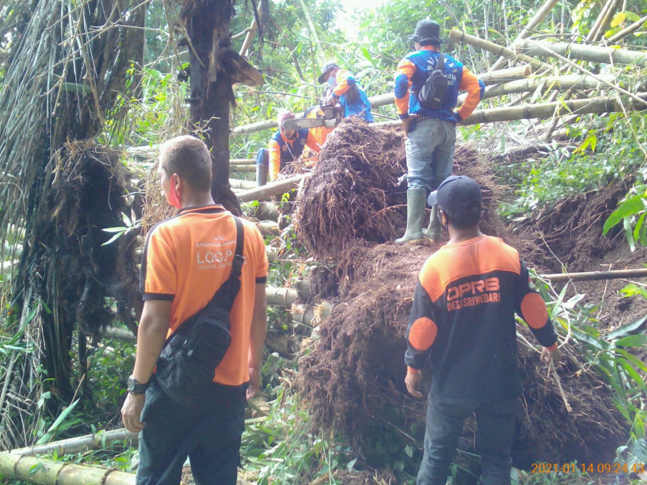 Relawan bersihkan longsor rumpun bambu di Salaman (14/1/2021)