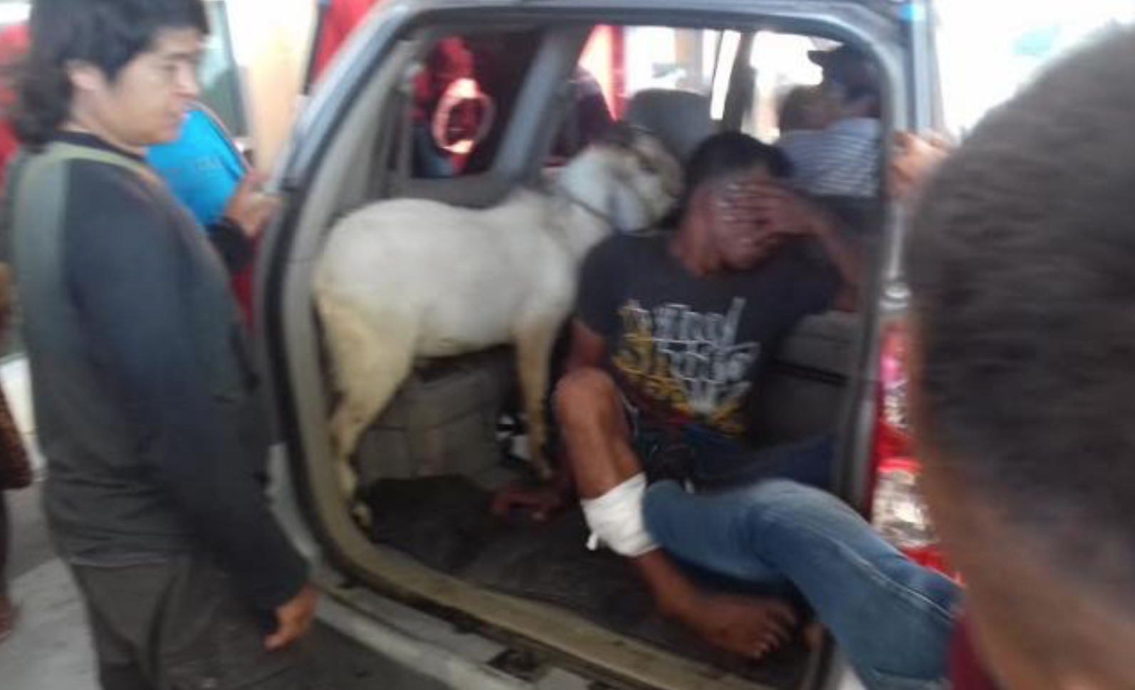 TERTANGKAP: Seorang pencuri kambing berhasil ditengkap polisi (gambar: ilustrasi)