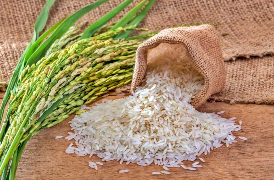 beras organik magelang